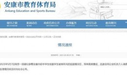 安康最新爆料视频,惊人真相曝光！